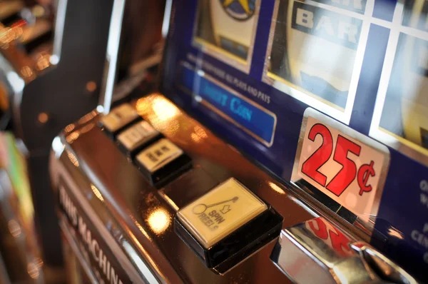 winning 568 multi-sport dashboard